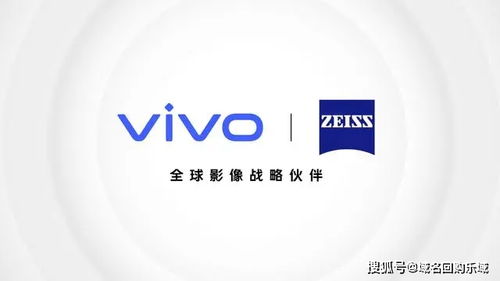 蓝厂cp 正式 出道 ,vivo牵手的另一 蓝厂 ,品牌域名全在手