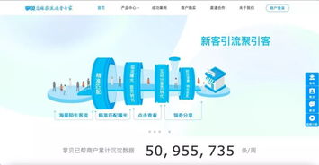 详解菜鸟网络布局,为了 丹鸟物流 土耳其终端收购peak.com 区块链终端收购blockgeek域名