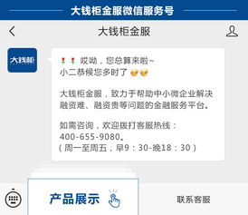 大钱柜 以金融科技之 普 ,融传统金融之 惠