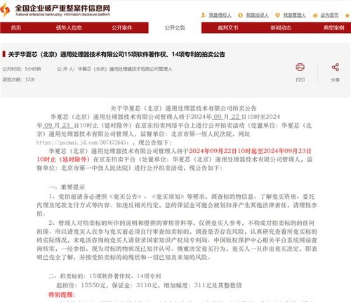 国产芯片企业华夏芯破产清算 域名等资产被公开拍卖