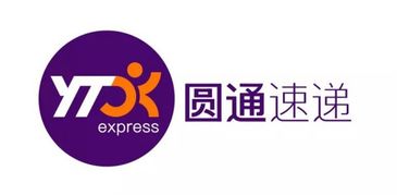 开拓国际中高端市场的圆通,迎来了新域名yto.top