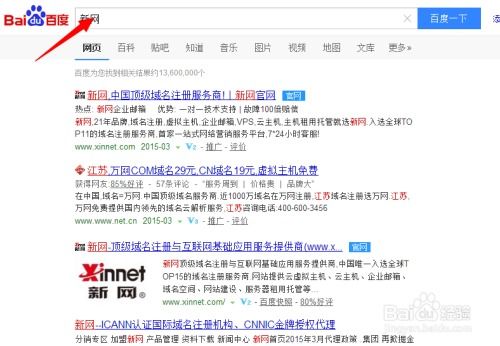 网上查看新网自己的域名情况