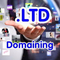 公司域名现在什么最流行 是 .ltd 域名吗