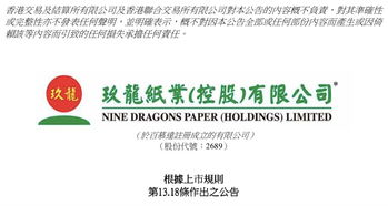 玖龙纸业为越南最大造纸厂提供10.8亿元担保，域名抵押引关注