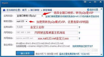 利用域名抵押实现远程桌面连接软件安全访问内网的策略与实践