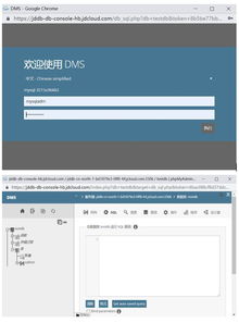干货 快速实现数据导入及简单dcs的实现
