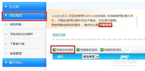 自主建站新手教程 动态域名解析