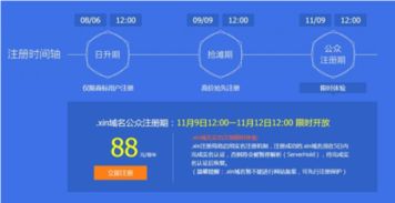 xin域名,2017年会发生什么变化
