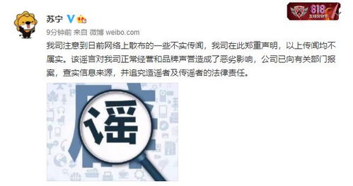 苏宁回应网络传闻 域名抵押传闻不实，已向公安机关报案