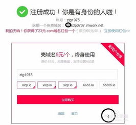 域名申请与抵押的注意事项