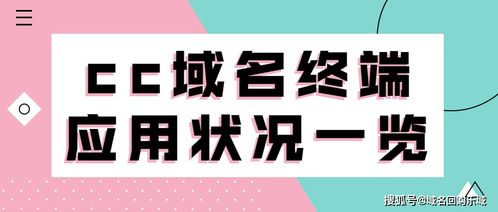 cc域名终端应用状况与域名抵押分析