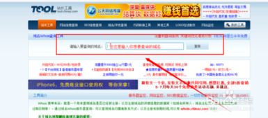 如何查看域名的到期时间及域名抵押相关知识