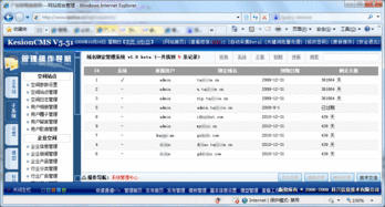 领先建站CMS 如何通过域名抵押实现企业空间自定义一级域名支持