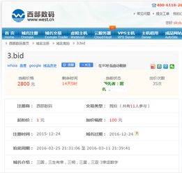 3.bid域名亮相西部数码首届用户精品域名专题拍卖会 域名抵押引关注